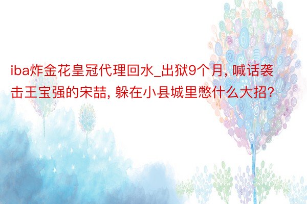 iba炸金花皇冠代理回水_出狱9个月, 喊话袭击王宝强的宋喆, 躲在小县城里憋什么大招?