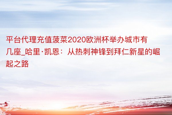 平台代理充值菠菜2020欧洲杯举办城市有几座_哈里·凯恩：从热刺神锋到拜仁新星的崛起之路