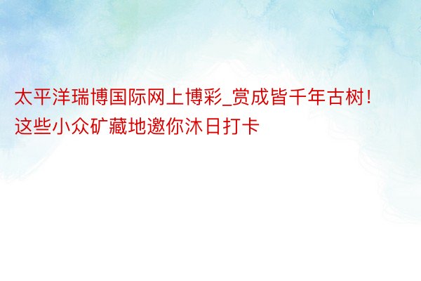 太平洋瑞博国际网上博彩_赏成皆千年古树！这些小众矿藏地邀你沐日打卡