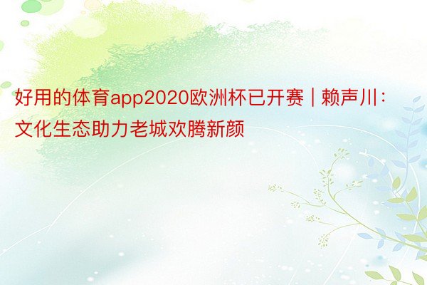 好用的体育app2020欧洲杯已开赛 | 赖声川：文化生态助力老城欢腾新颜