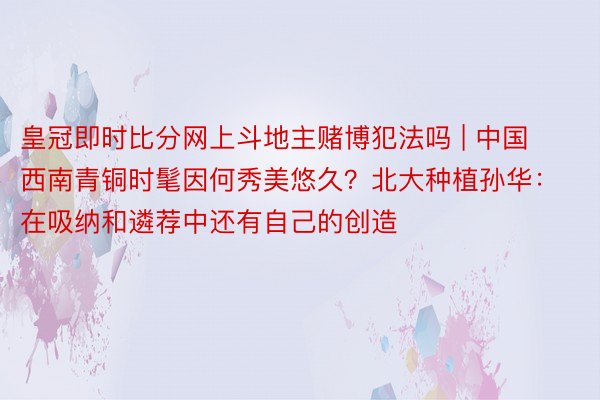 皇冠即时比分网上斗地主赌博犯法吗 | 中国西南青铜时髦因何秀美悠久？北大种植孙华：在吸纳和遴荐中还有自己的创造